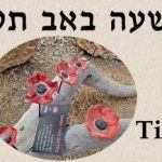 Tisha B’Av 5786